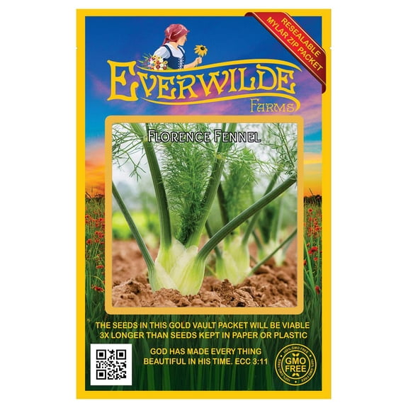 Everwilde Farms - 500 Florence Fennel Herb Seeds - Gold Vault Jumbo Bulk Seed Packet