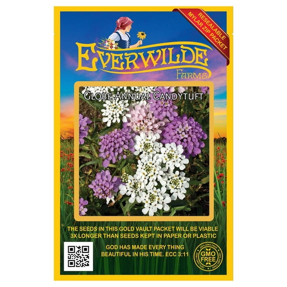 Everwilde Farms - 500 Globe Annual Candytuft Garden Flower Seeds - Gold Vault Jumbo Bulk Seed Packet