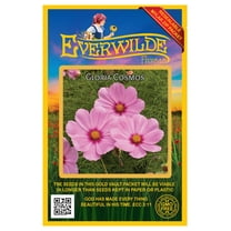 Everwilde Farms - 500 Gloria Cosmos Garden Flower Seeds - Gold Vault Jumbo Bulk Seed Packet