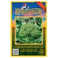 thumbnail image 1 of Everwilde Farms - 500 Green Sprouting Calabrese Broccoli Seeds - Gold Vault Jumbo Bulk Seed Packet, 1 of 4