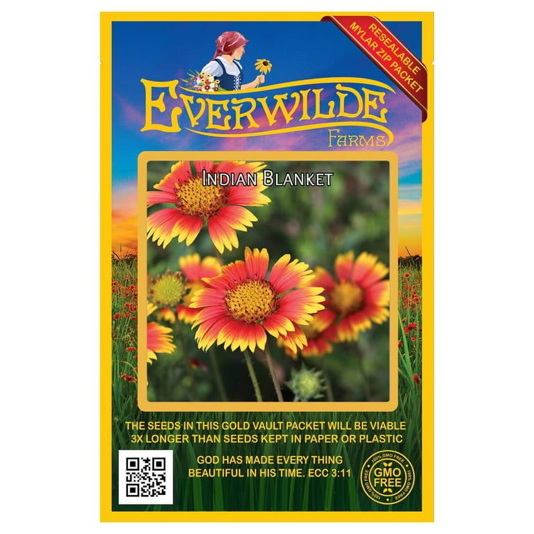 Everwilde Farms 500 Indian Blanket Native Wildflower Seeds Gold Vault Jumbo Bulk Seed Packet Walmart