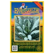 Everwilde Farms - 500 Lacinato Kale Seeds - Gold Vault Jumbo Bulk Seed Packet