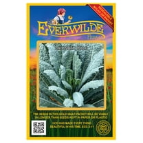 Everwilde Farms - 500 Lacinato Kale Seeds - Gold Vault Jumbo Bulk Seed Packet