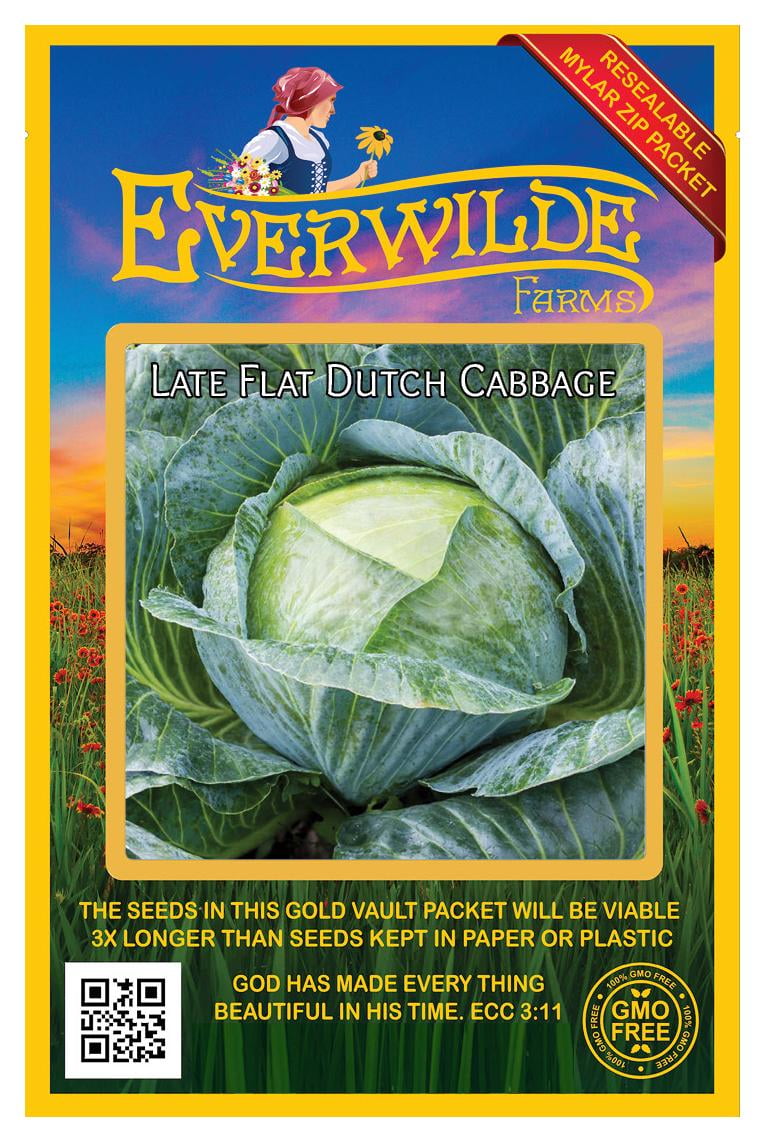 Everwilde Farms 500 Late Flat Dutch Cabbage Seeds Gold Vault Jumbo