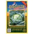 thumbnail image 1 of Everwilde Farms - 500 Late Flat Dutch Cabbage Seeds - Gold Vault Jumbo Bulk Seed Packet, 1 of 5