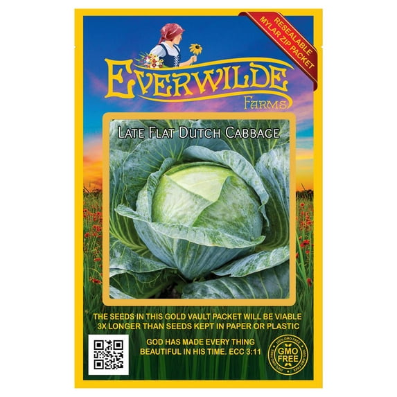 Everwilde Farms - 500 Late Flat Dutch Cabbage Seeds - Gold Vault Jumbo Bulk Seed Packet