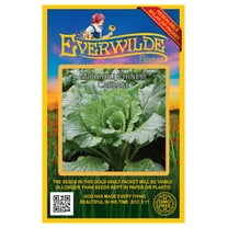 Everwilde Farms - 500 Michihili Chinese Cabbage Seeds - Gold Vault Jumbo Bulk Seed Packet