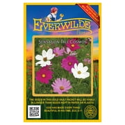 Everwilde Farms 500 Mixed Cosmos Flower Seeds, Resealable Mylar Packaging