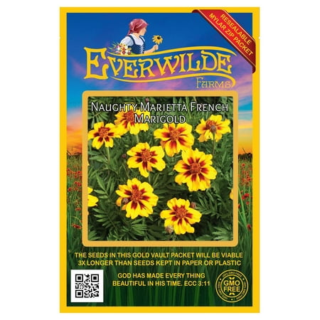 Everwilde Farms - 500 Naughty Marietta French Marigold Garden Flower Seeds - Gold Vault Jumbo Bulk Seed Packet