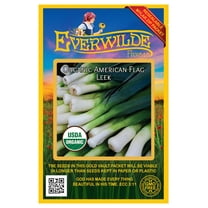 Everwilde Farms - 500 Organic American Flag Leek Seeds - Gold Vault Jumbo Bulk Seed Packet