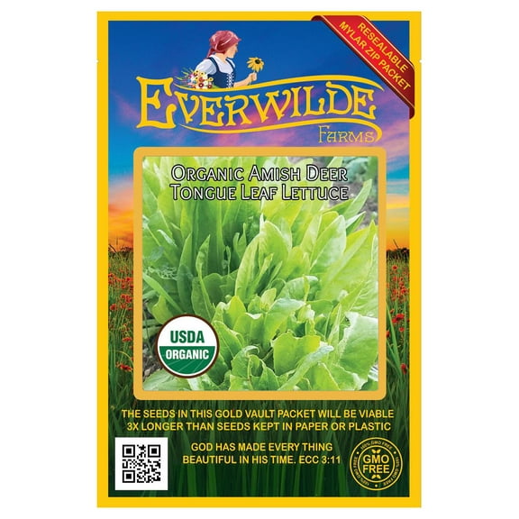 Everwilde Farms - 500 Organic Amish Deer Tongue Leaf Lettuce Seeds - Gold Vault Jumbo Bulk Seed Packet
