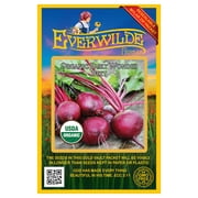 Everwilde Farms - 500 Organic Early Wonder Beet Seeds - Gold Vault Jumbo Bulk Seed Packet
