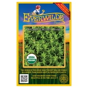Everwilde Farms - 500 Organic English Thyme Herb Seeds - Gold Vault Jumbo Bulk Seed Packet
