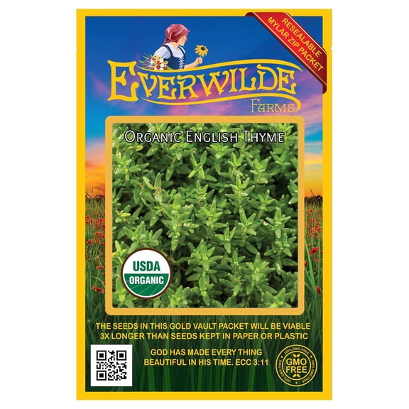 Everwilde Farms - 500 Organic English Thyme Herb Seeds - Gold Vault Jumbo Bulk Seed Packet