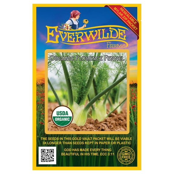 Everwilde Farms - 500 Organic Florence Fennel Herb Seeds - Gold Vault Jumbo Bulk Seed Packet