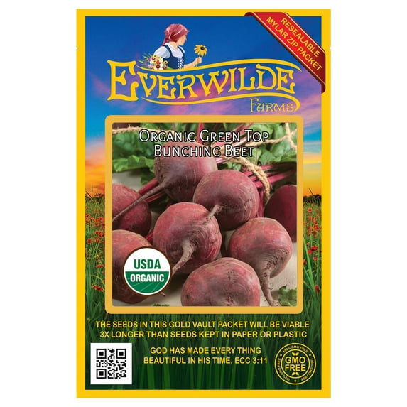 Everwilde Farms - 500 Organic Green Top Bunching Beet Seeds - Gold Vault Jumbo Bulk Seed Packet