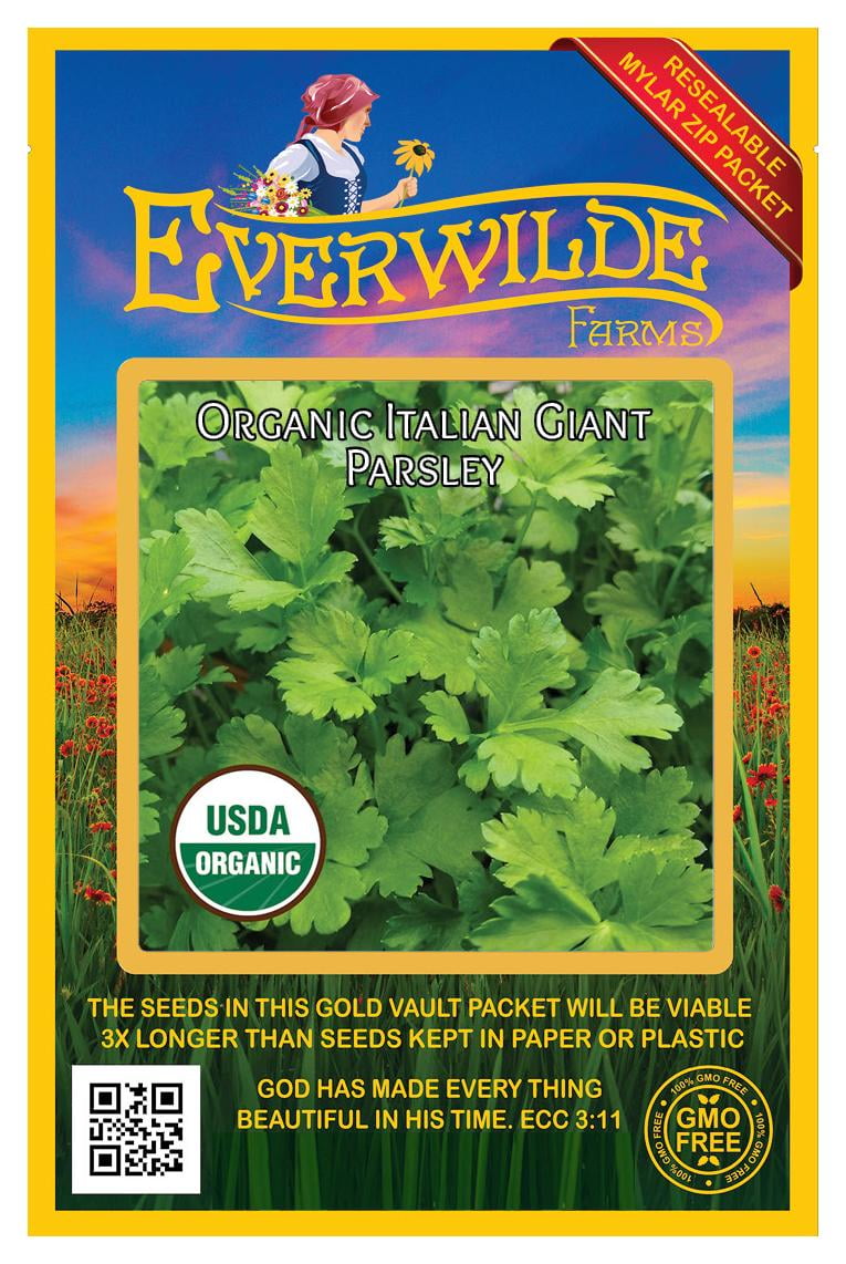 250 Leisure Coriander Cilantro Herb Seeds - Everwilde Farms Mylar Seed Packet eB