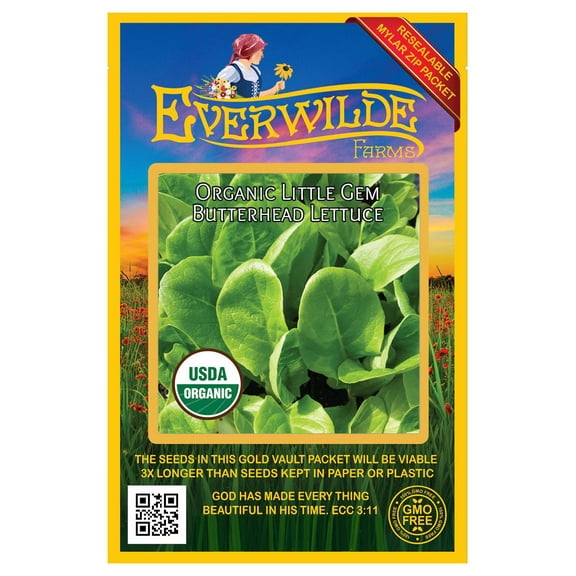 Everwilde Farms - 500 Organic Little Gem Butterhead Lettuce Seeds - Gold Vault Jumbo Bulk Seed Packet