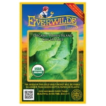 Everwilde Farms - 500 Organic Parris Island Cos Romaine Lettuce Seeds - Gold Vault Jumbo Bulk Seed Packet