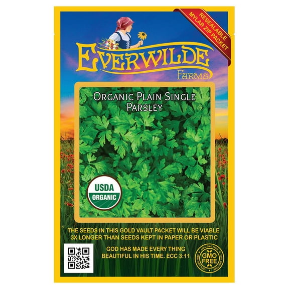 Everwilde Farms - 500 Organic Plain Single Parsley Seeds - Gold Vault Jumbo Bulk Seed Packet