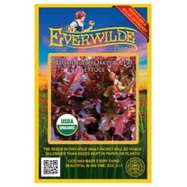 Everwilde Farms - 500 Organic Red Oakleaf Leaf Lettuce Seeds - Gold Vault Jumbo Bulk Seed Packet