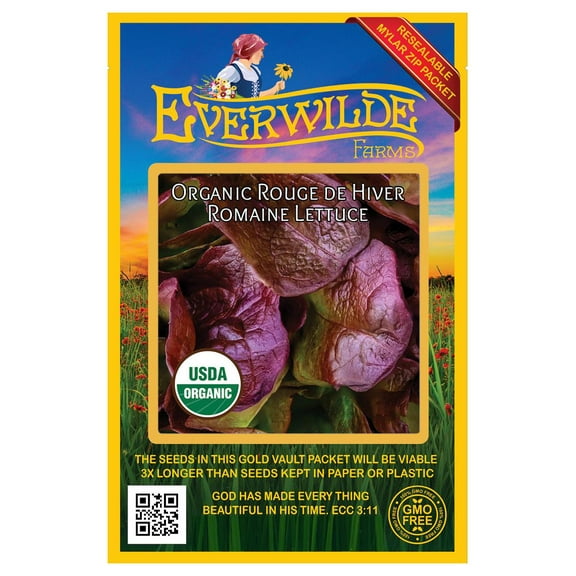 Everwilde Farms - 500 Organic Rouge de Hiver Romaine Lettuce Seeds - Gold Vault Jumbo Bulk Seed Packet