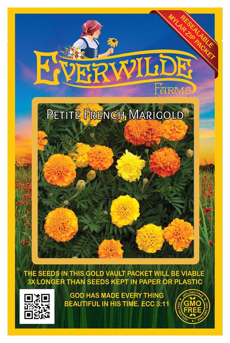 Everwilde Farms - 500 Petite Mix French Marigold Garden Flower Seeds - Gold  Vault Jumbo Bulk Seed Packet 