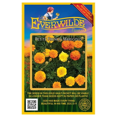 Everwilde Farms - 500 Petite Mix French Marigold Garden Flower Seeds - Gold Vault Jumbo Bulk Seed Packet