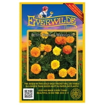 Everwilde Farms - 500 Petite Mix French Marigold Garden Flower Seeds - Gold Vault Jumbo Bulk Seed Packet