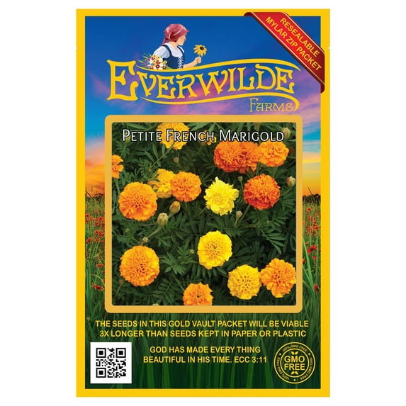 Everwilde Farms - 500 Petite Mix French Marigold Garden Flower Seeds - Gold Vault Jumbo Bulk Seed Packet
