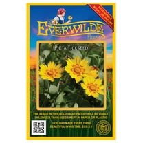 Everwilde Farms - 500 Picta Tickseed Native Wildflower Seeds - Gold Vault Jumbo Bulk Seed Packet