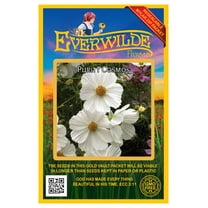 Everwilde Farms - 500 Purity Cosmos Garden Flower Seeds - Gold Vault Jumbo Bulk Seed Packet