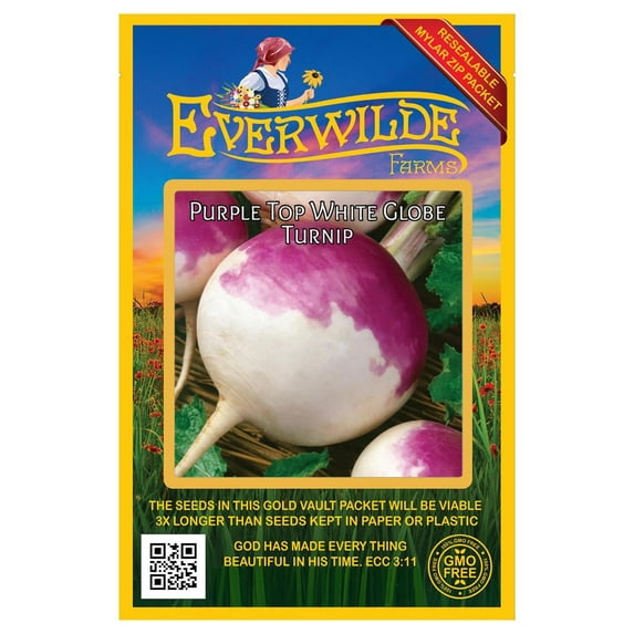 Everwilde Farms - 500 Purple Top White Globe Turnip Seeds - Gold Vault Jumbo Bulk Seed Packet