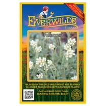 Everwilde Farms - 500 Pussytoes Native Wildflower Seeds - Gold Vault Seed Packet