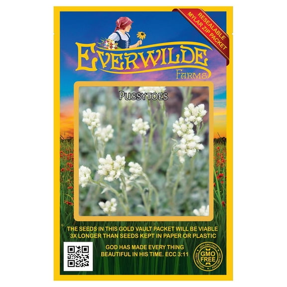 Everwilde Farms - 500 Pussytoes Native Wildflower Seeds - Gold Vault Seed Packet