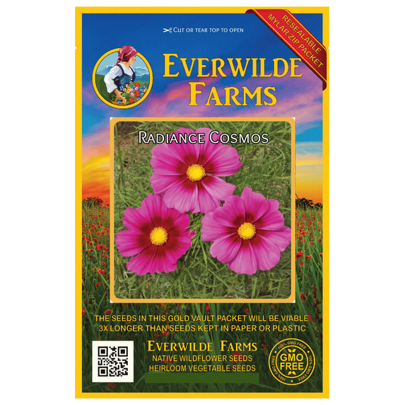 Everwilde Farms - 500 Radiance Cosmos Garden Flower Seeds - Gold Vault Jumbo Bulk Seed Packet
