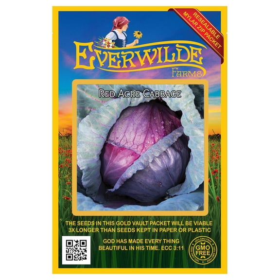 Everwilde Farms - 500 Red Acre Cabbage Seeds - Gold Vault Jumbo Bulk Seed Packet