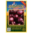 thumbnail image 1 of Everwilde Farms - 500 Red Grano Onion Seeds - Gold Vault Jumbo Bulk Seed Packet, 1 of 5