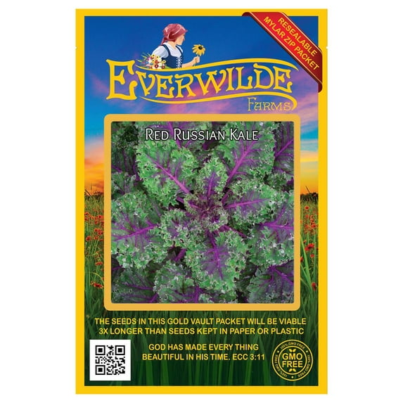 Everwilde Farms - 500 Red Russian Kale Seeds - Gold Vault Jumbo Bulk Seed Packet