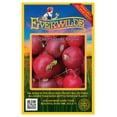 thumbnail image 1 of Everwilde Farms - 500 Scarlet Globe Radish Seeds - Gold Vault Jumbo Bulk Seed Packet, 1 of 5