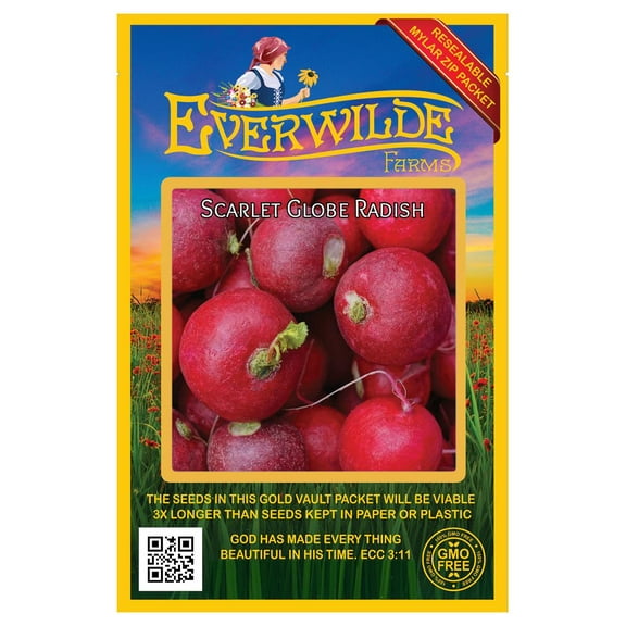 Everwilde Farms - 500 Scarlet Globe Radish Seeds - Gold Vault Jumbo Bulk Seed Packet
