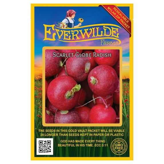 Everwilde Farms - 500 Scarlet Globe Radish Seeds - Gold Vault Jumbo Bulk Seed Packet