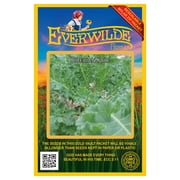 Everwilde Farms - 500 Siberian Kale Seeds - Gold Vault Jumbo Bulk Seed Packet
