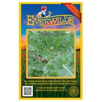 Everwilde Farms - 500 Siberian Kale Seeds - Gold Vault Jumbo Bulk Seed Packet