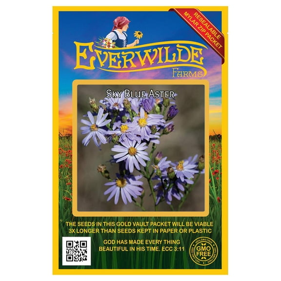 Everwilde Farms - 500 Sky Blue Aster Native Wildflower Seeds - Gold Vault Seed Packet