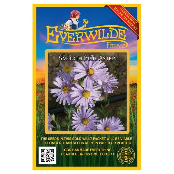 Everwilde Farms - 500 Smooth Blue Aster Native Wildflower Seeds - Gold Vault Seed Packet