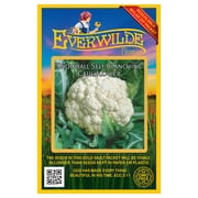 Everwilde Farms - 500 Snowball Self Blanching Cauliflower Seeds - Gold Vault Jumbo Bulk Seed Packet