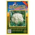 thumbnail image 1 of Everwilde Farms 500 Snowball Self Blanching Cauliflower Seeds, Open Pollinated, 1 of 5