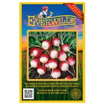 Everwilde Farms - 500 Sparkler White Tip Radish Seeds - Gold Vault Jumbo Bulk Seed Packet