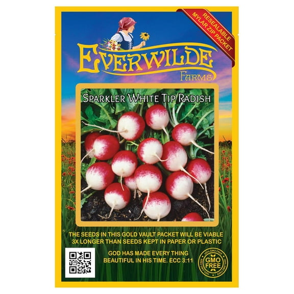Everwilde Farms - 500 Sparkler White Tip Radish Seeds - Gold Vault Jumbo Bulk Seed Packet
